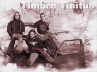 Timbre Tinitus