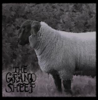 The Grand Sheep